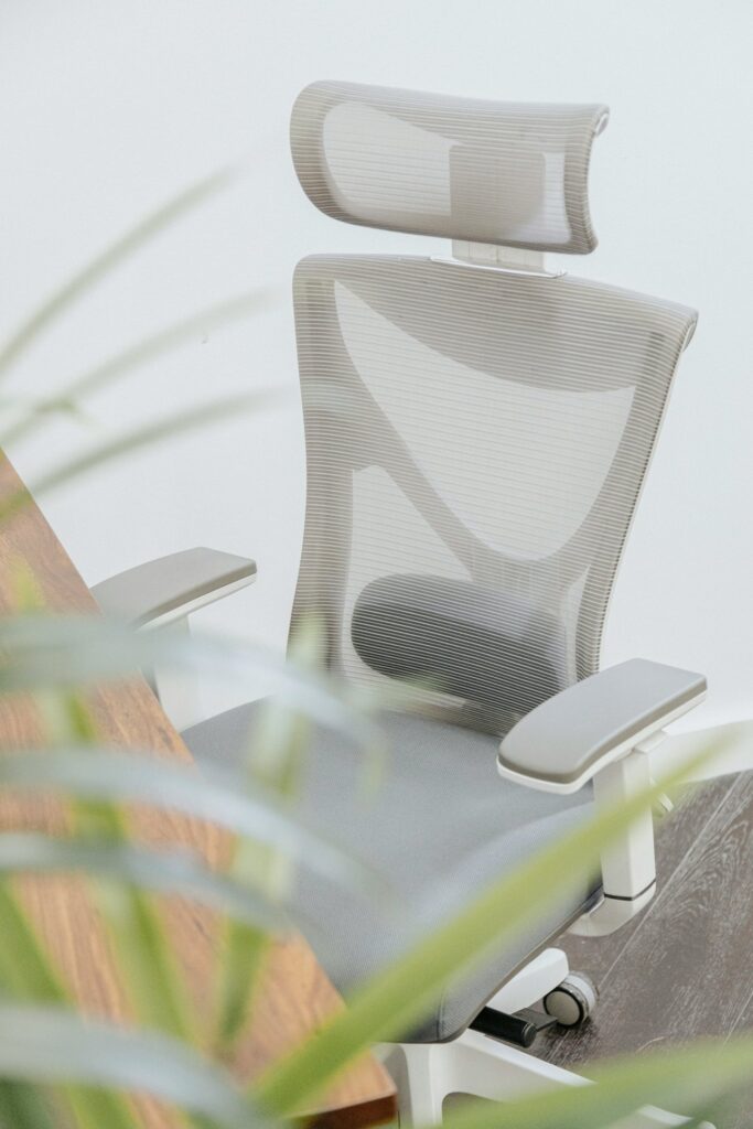 Modern Ergonomic Office Chair